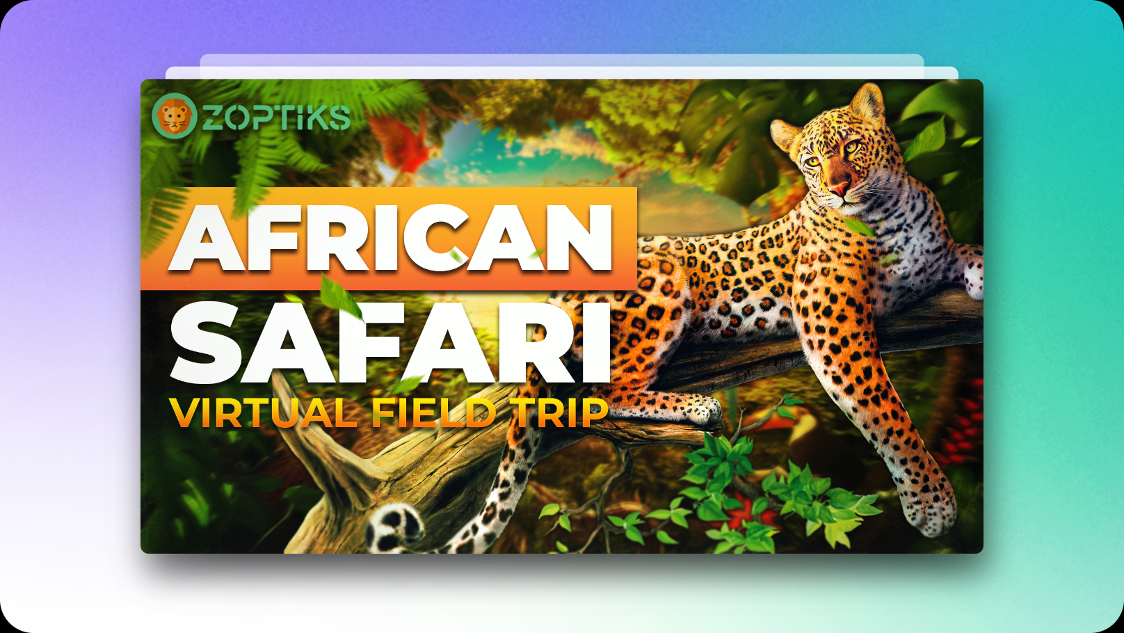 The African Safari